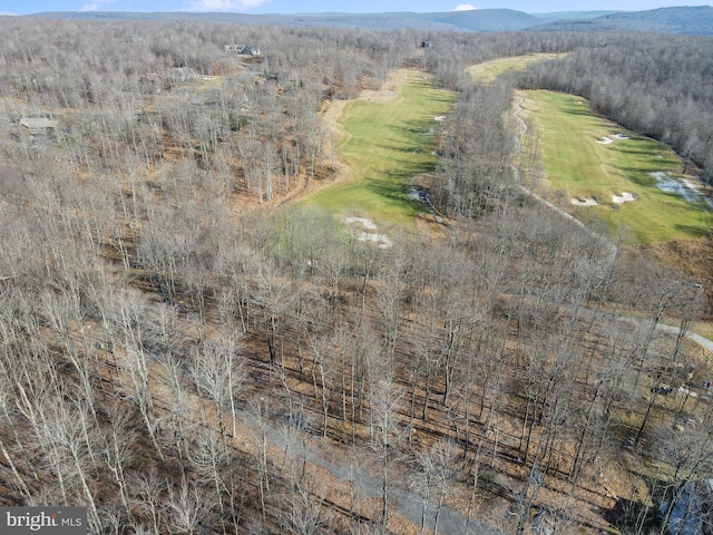 aerial view with a mountain view