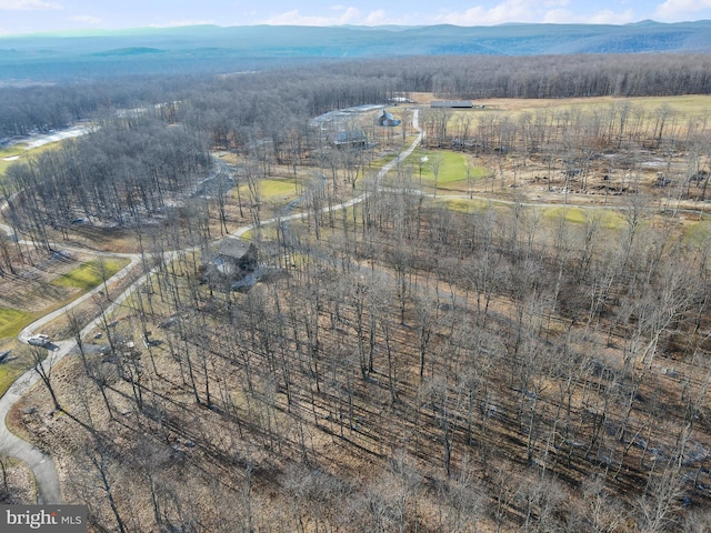 birds eye view of property with a mountain view and a rural view