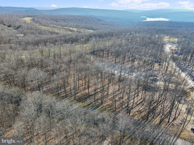 aerial view featuring a mountain view