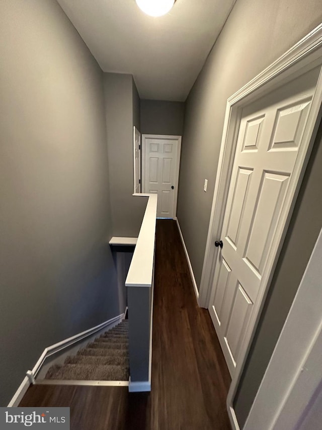 hallway with dark hardwood / wood-style flooring