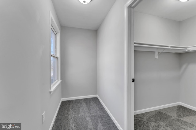 spacious closet with carpet floors