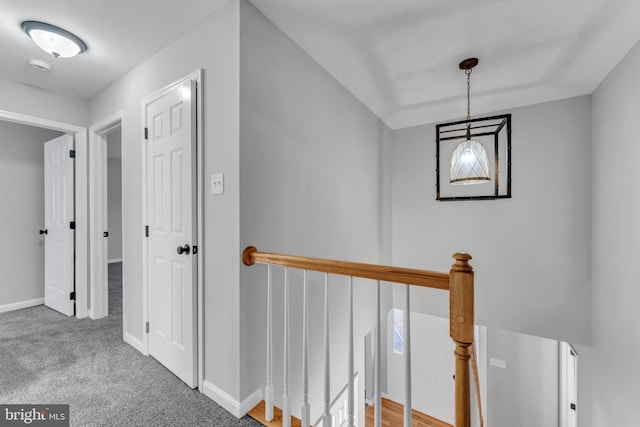 hallway featuring carpet flooring