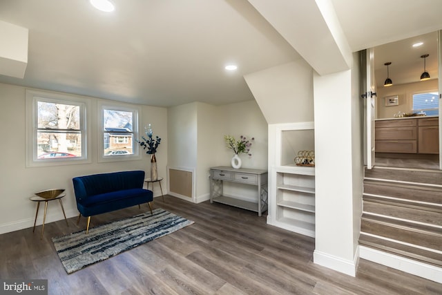 sitting room featuring dark hardwood / wood-style flooring