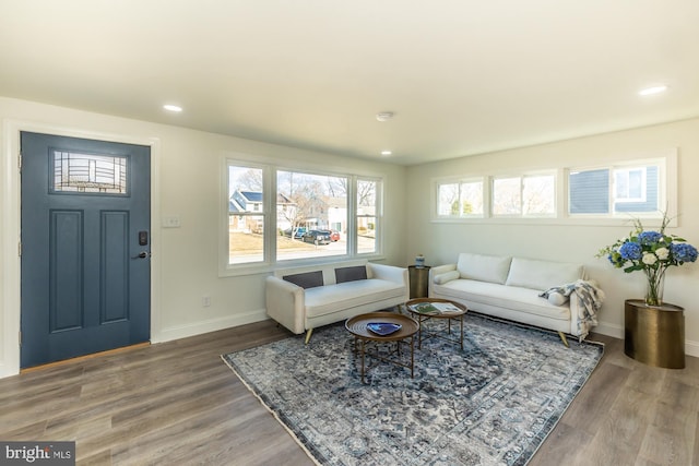 living room featuring hardwood / wood-style floors