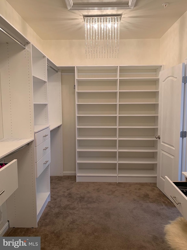 walk in closet with dark carpet