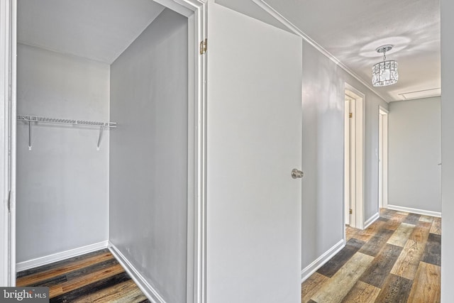 hallway featuring dark hardwood / wood-style floors