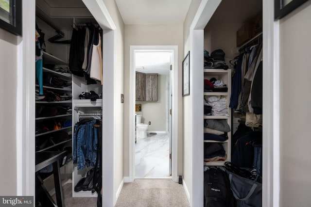 walk in closet featuring carpet