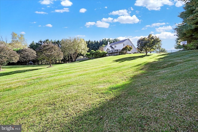 view of yard