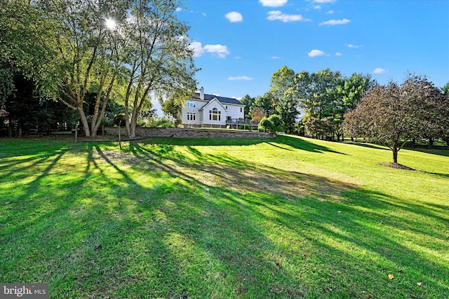 view of yard