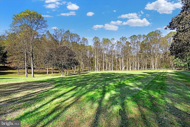 view of yard