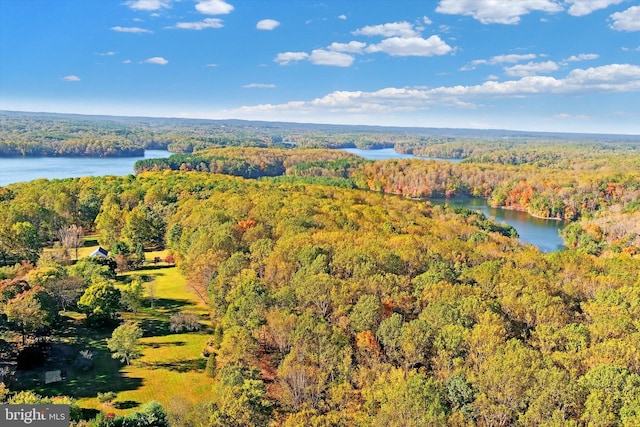 drone / aerial view featuring a forest view and a water view