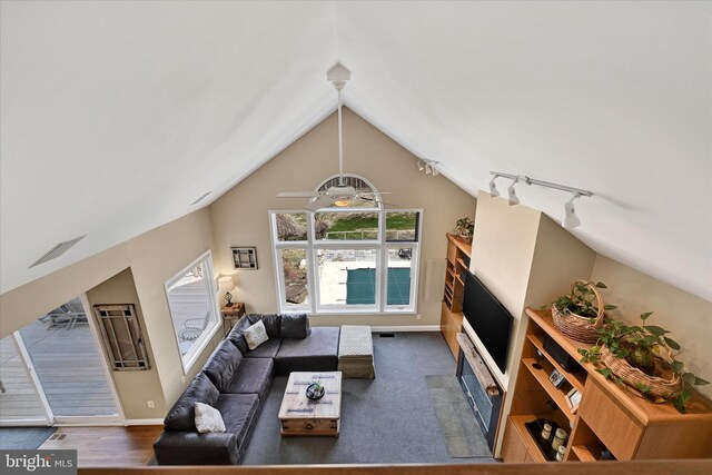 living room featuring lofted ceiling, baseboards, and track lighting