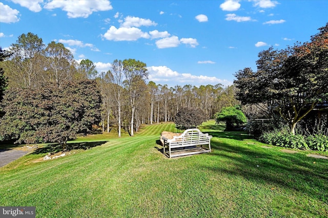 view of yard