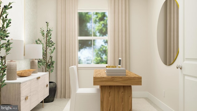 bathroom with a wealth of natural light