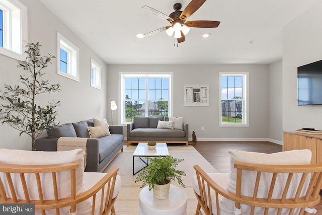 living room with ceiling fan, hardwood / wood-style floors, and a wealth of natural light