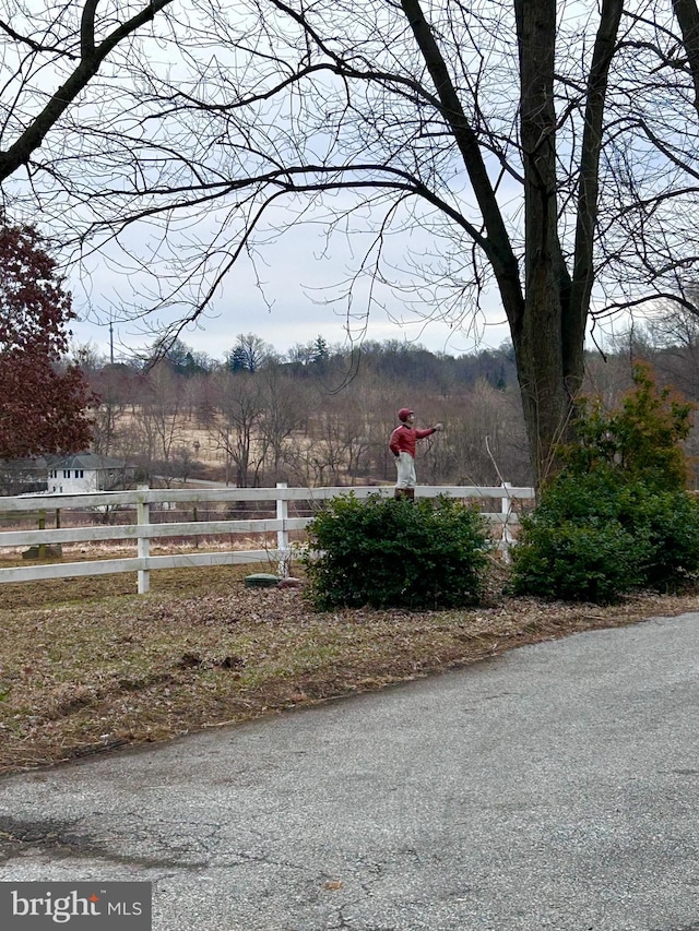 view of yard with a rural view