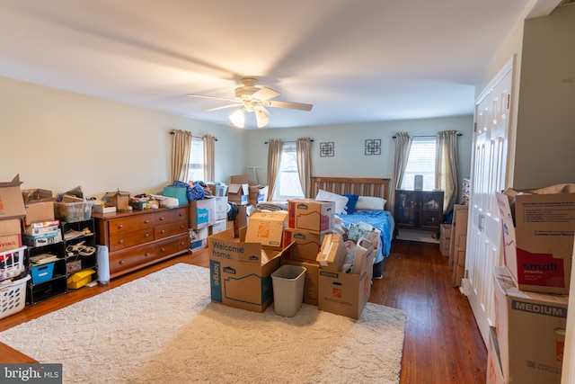 bedroom featuring dark hardwood / wood-style floors and ceiling fan