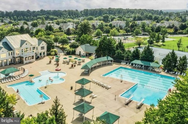 view of swimming pool featuring a patio area