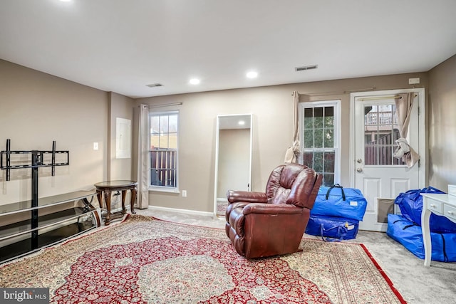 sitting room with a healthy amount of sunlight and carpet