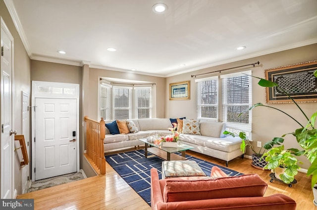 living room featuring crown molding and hardwood / wood-style flooring