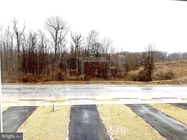 view of street featuring curbs