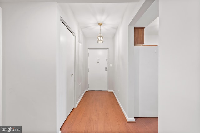 entryway featuring light hardwood / wood-style flooring