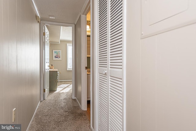 hallway featuring carpet floors and a textured ceiling