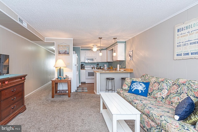 carpeted living room featuring crown molding, sink, and a textured ceiling