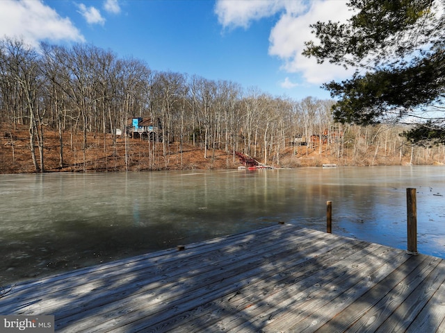 dock area with a water view