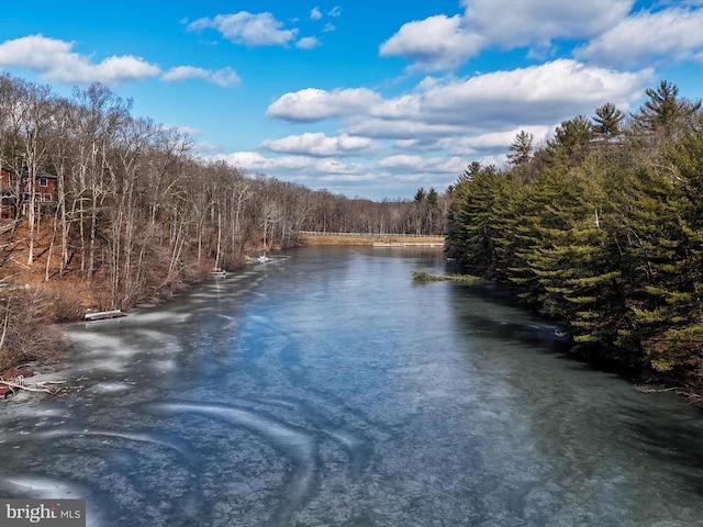 property view of water featuring a wooded view