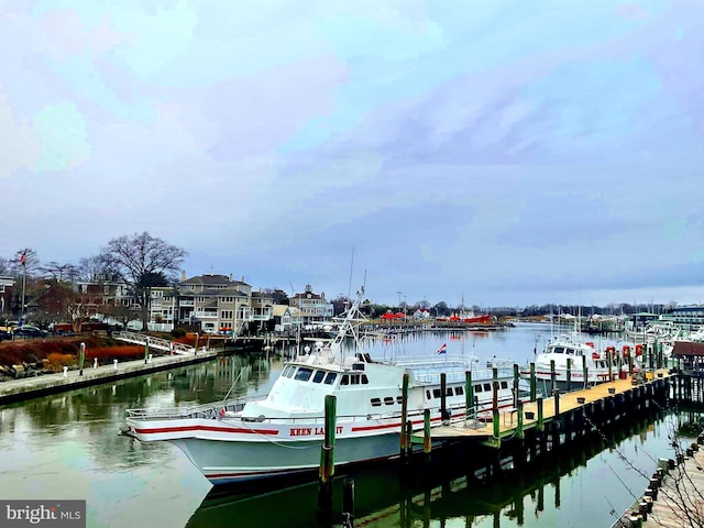 view of dock with a water view