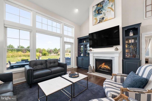 living room featuring dark wood-type flooring, high vaulted ceiling, and a premium fireplace