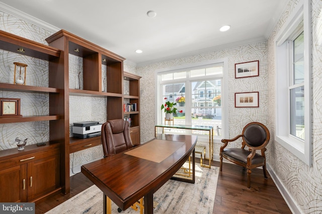 home office featuring crown molding and dark hardwood / wood-style floors