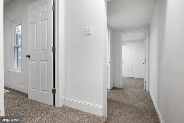 hallway featuring light colored carpet