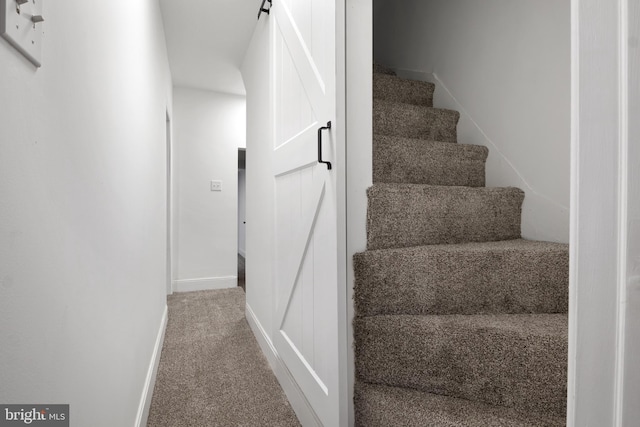 stairway featuring carpet floors and a barn door