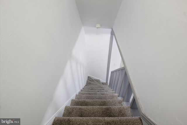 stairs with carpet flooring