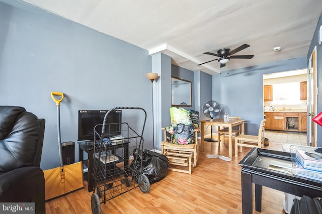 interior space featuring ceiling fan, sink, and light hardwood / wood-style floors