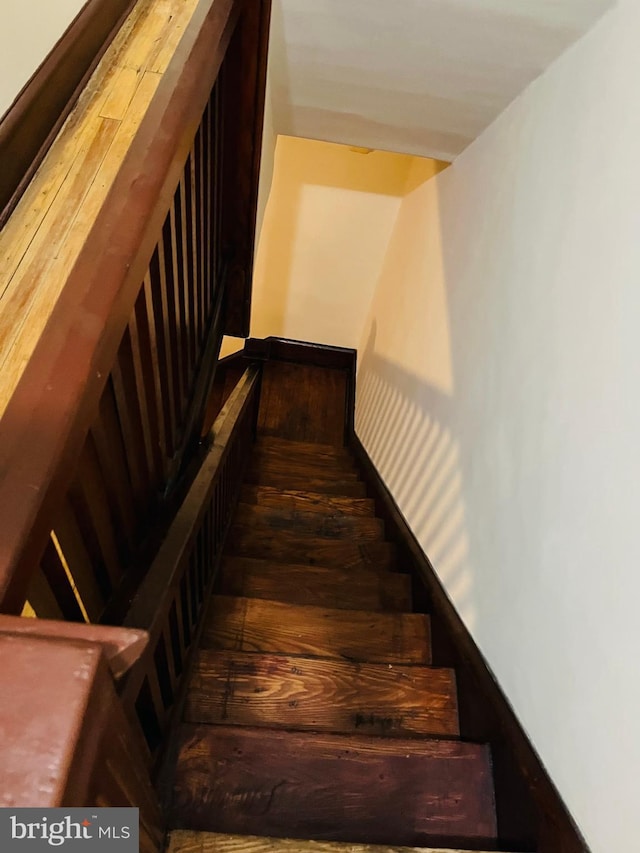 staircase featuring wood finished floors