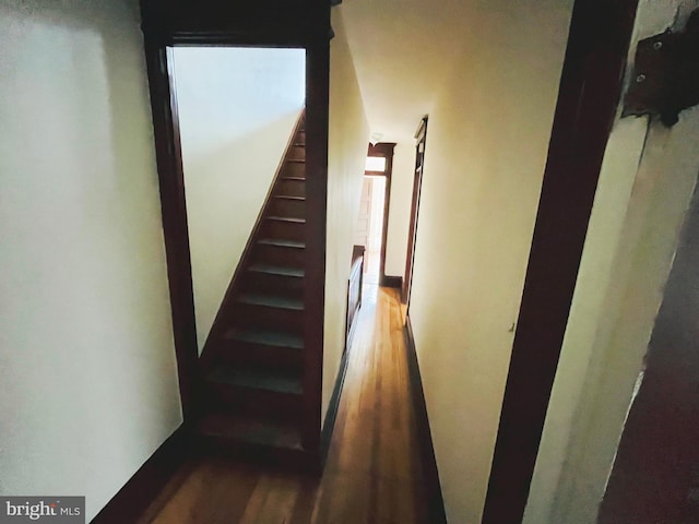 corridor with stairway and wood finished floors