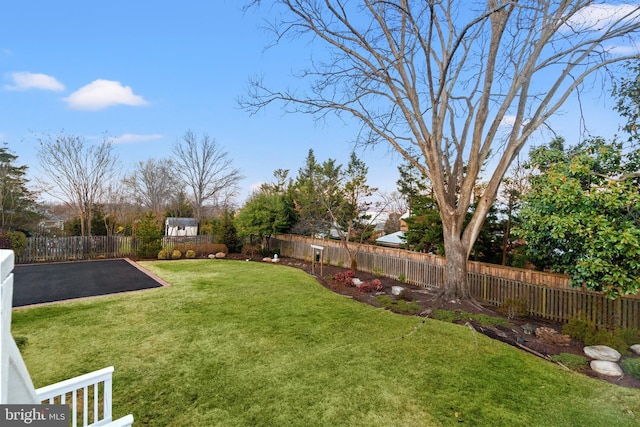 view of yard with a fenced backyard