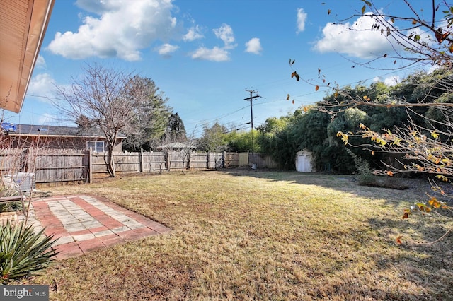 view of yard with a shed and a patio