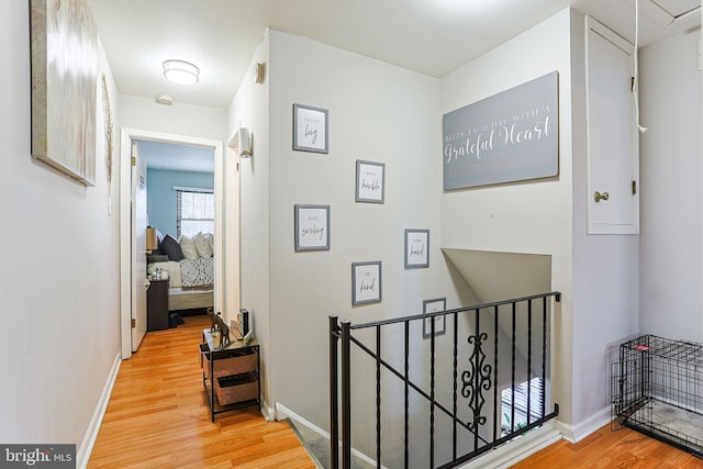 hallway featuring wood-type flooring