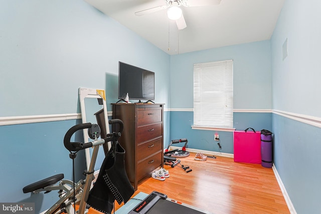 exercise area with light hardwood / wood-style floors and ceiling fan