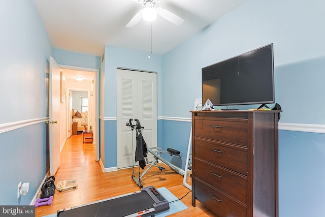 workout room featuring ceiling fan and light hardwood / wood-style floors