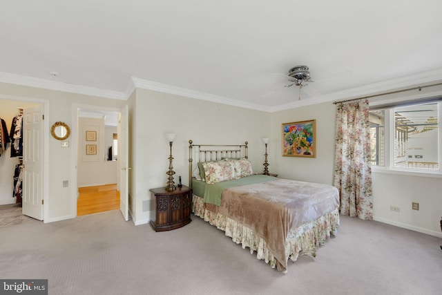 carpeted bedroom with ceiling fan, a walk in closet, ornamental molding, and a closet