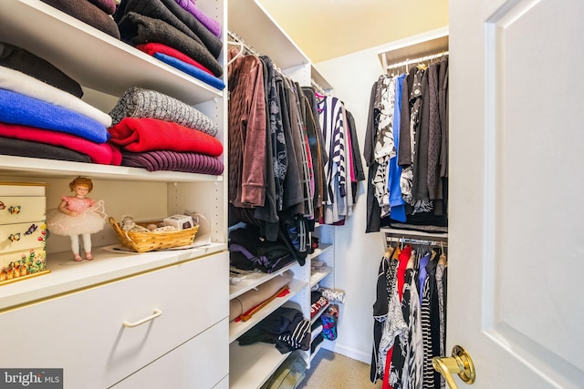 view of walk in closet