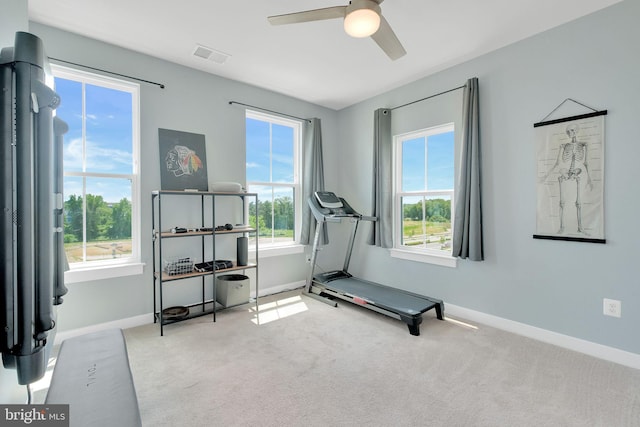 10056 American Pharoah Ln Unit 66, Laurel, MD 20723 - workout area featuring ceiling fan, baseboards, and carpet