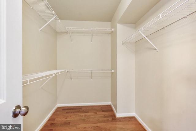 spacious closet with wood finished floors