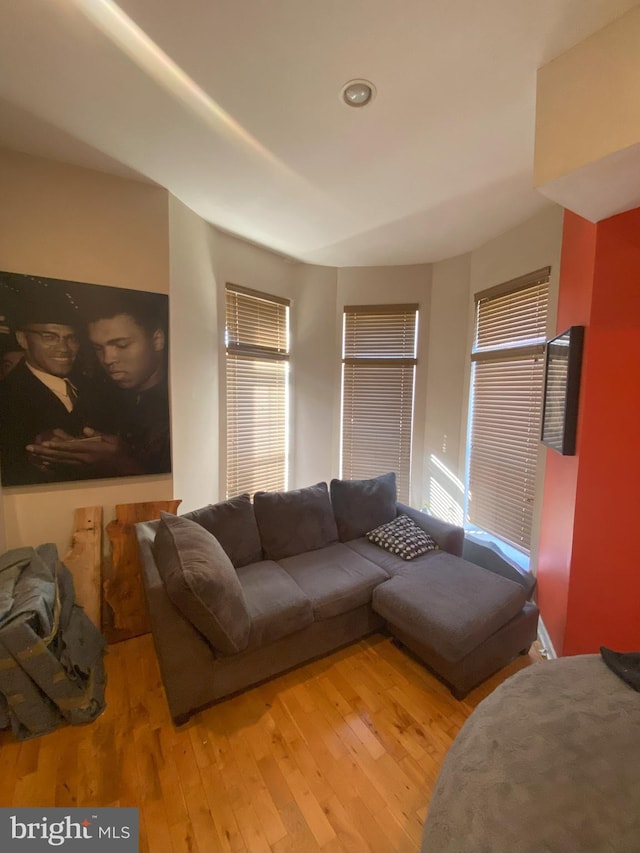 living room with light wood-type flooring