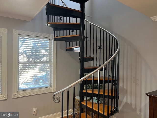 stairs with ornamental molding